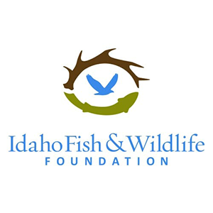 Idaho Fish Wildlife